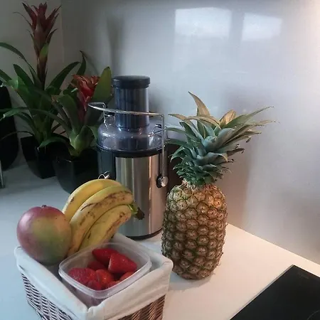 דירה Luxury 3 Bedroom Penthouse With Private Garage בראגה