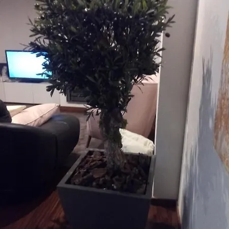 Luxury 3 Bedroom Penthouse With Private Garage * Braga