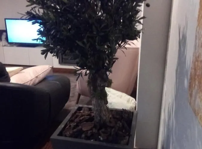 Luxury 3 Bedroom Penthouse With Private Garage * Braga